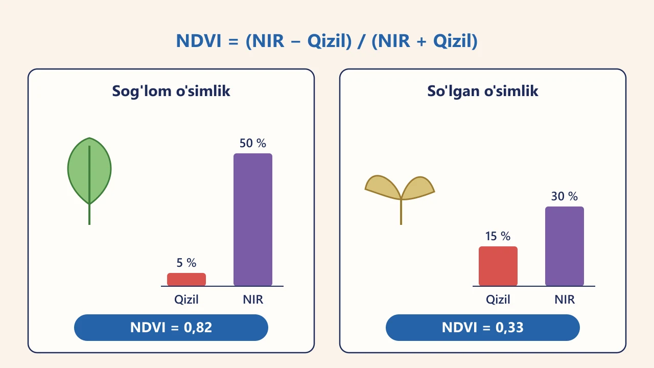 Sog'lom va so'lgan o'simlikning qizil hamda yaqin infraqizil qaytaruvchanligi va ulardan hisoblangan NDVI qiymatlari